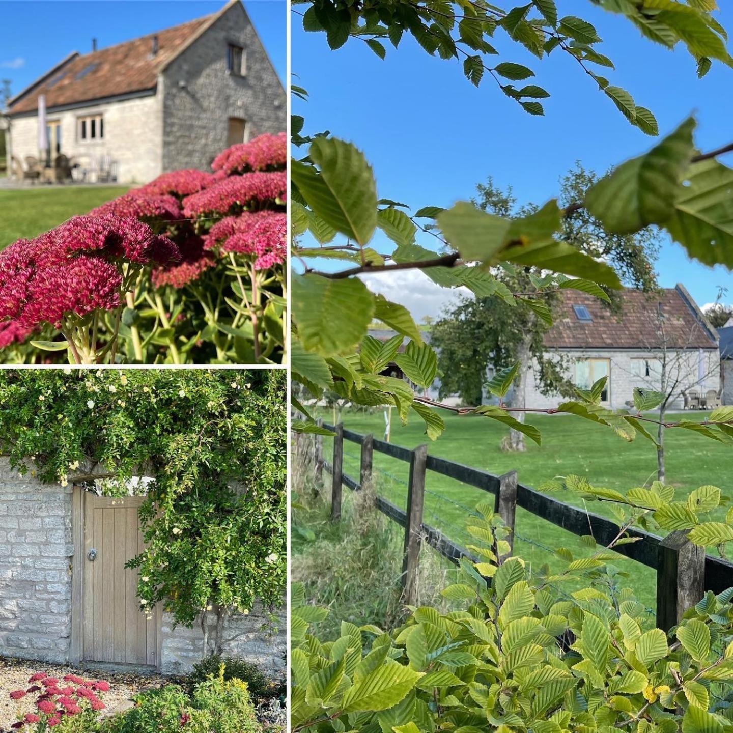 Yew Tree Cottage Shepton Mallet Esterno foto